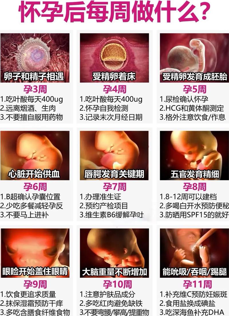 南方孕妇与宝宝代孕怎样